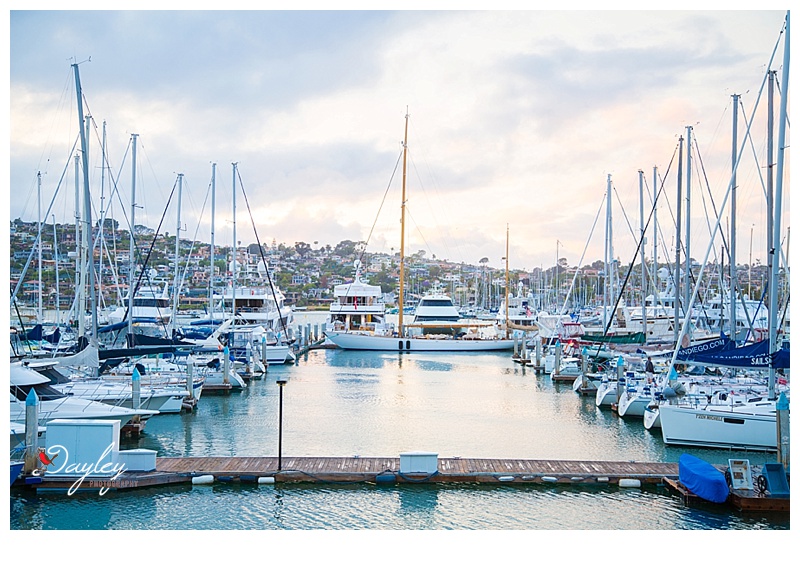 Harbor at Shelter Island