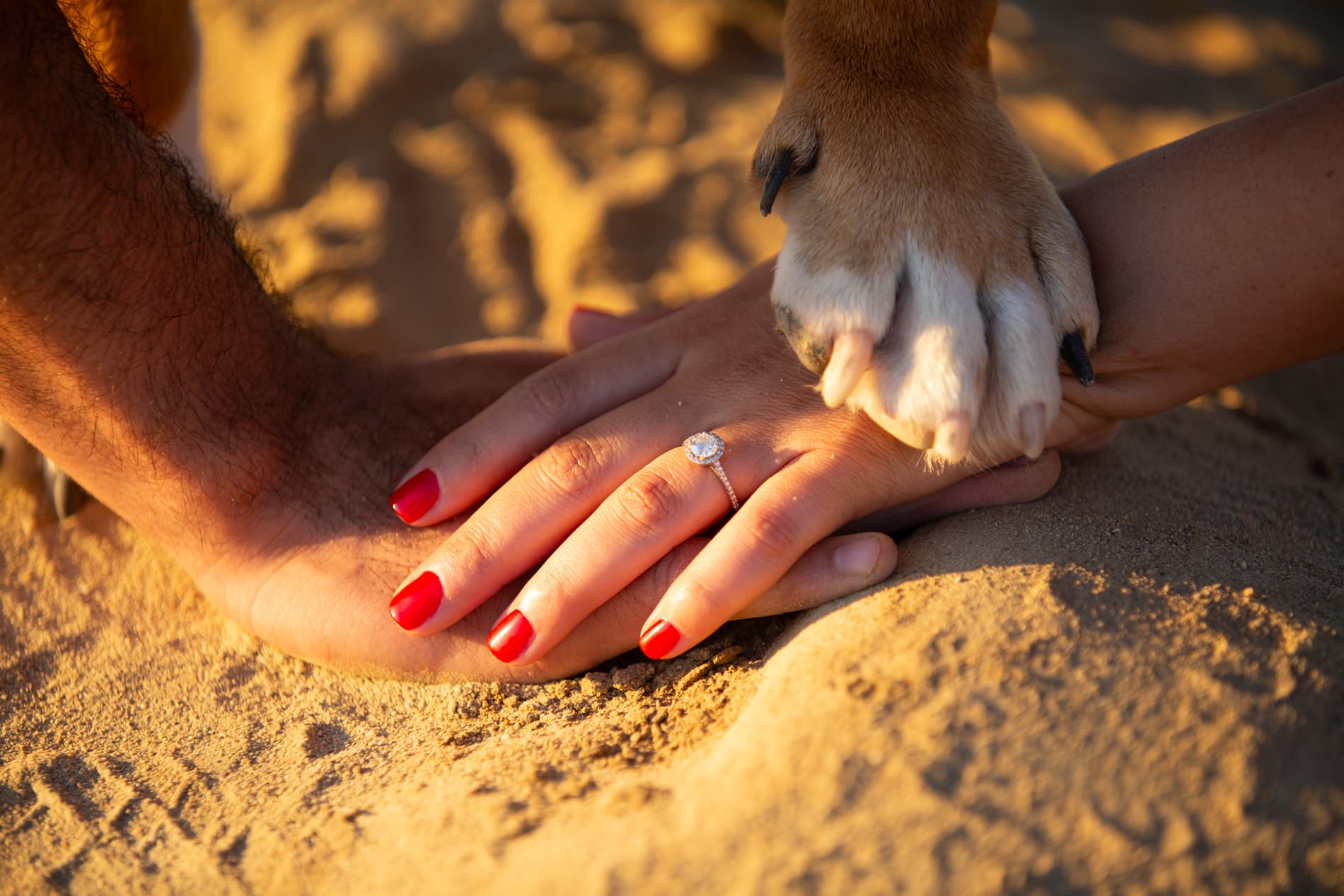 Engagement session with dog